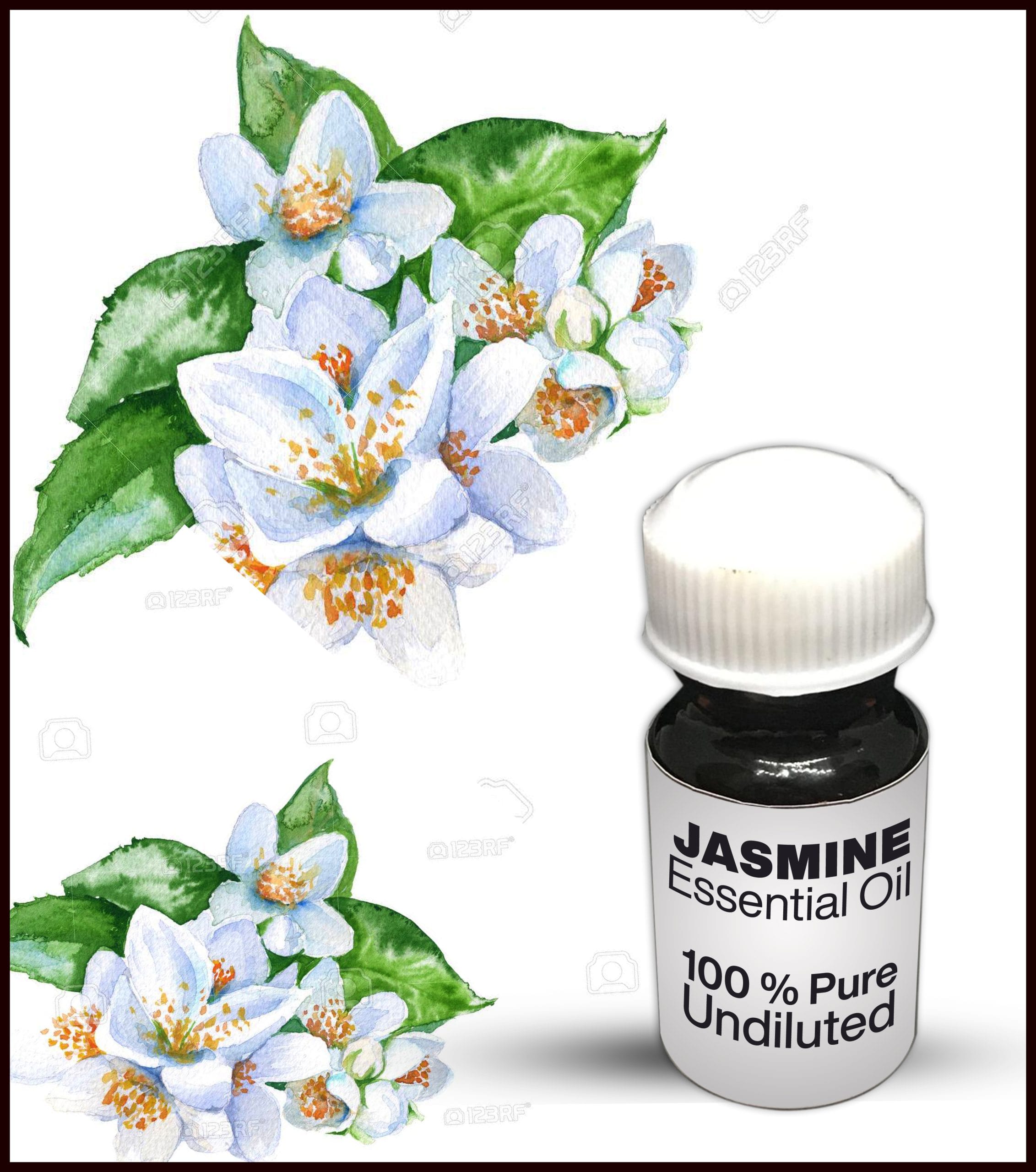 Jasmine Essential Oil