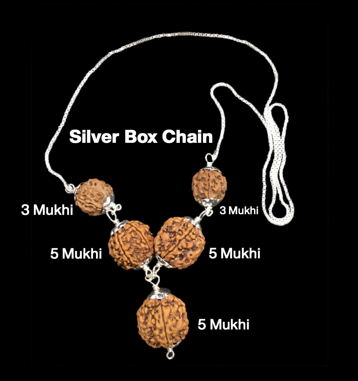 Health Power 3,3,5,5,5 Mukhi Nepal