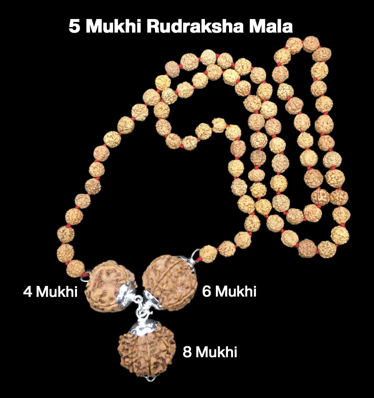 Rudraksha Combination for Creativity 4,6,8 Mukhi Nepal in Rudraksha Mala