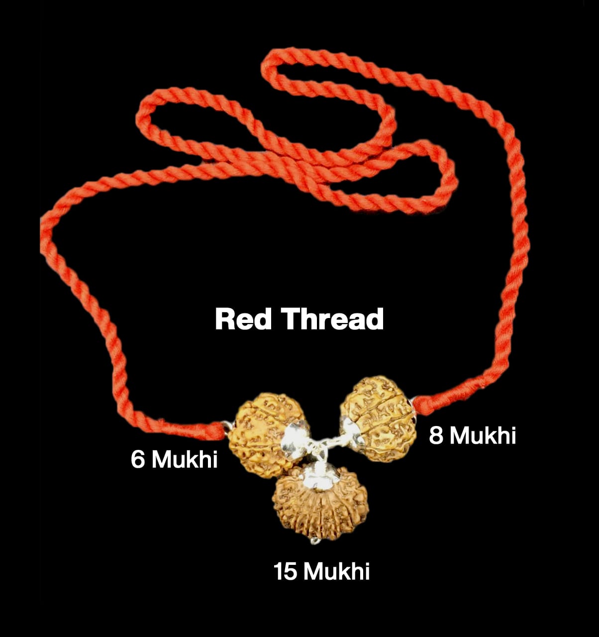 Rudraksha Combination for Business 6,8,15 Mukhi Nepal in Silver Pendant