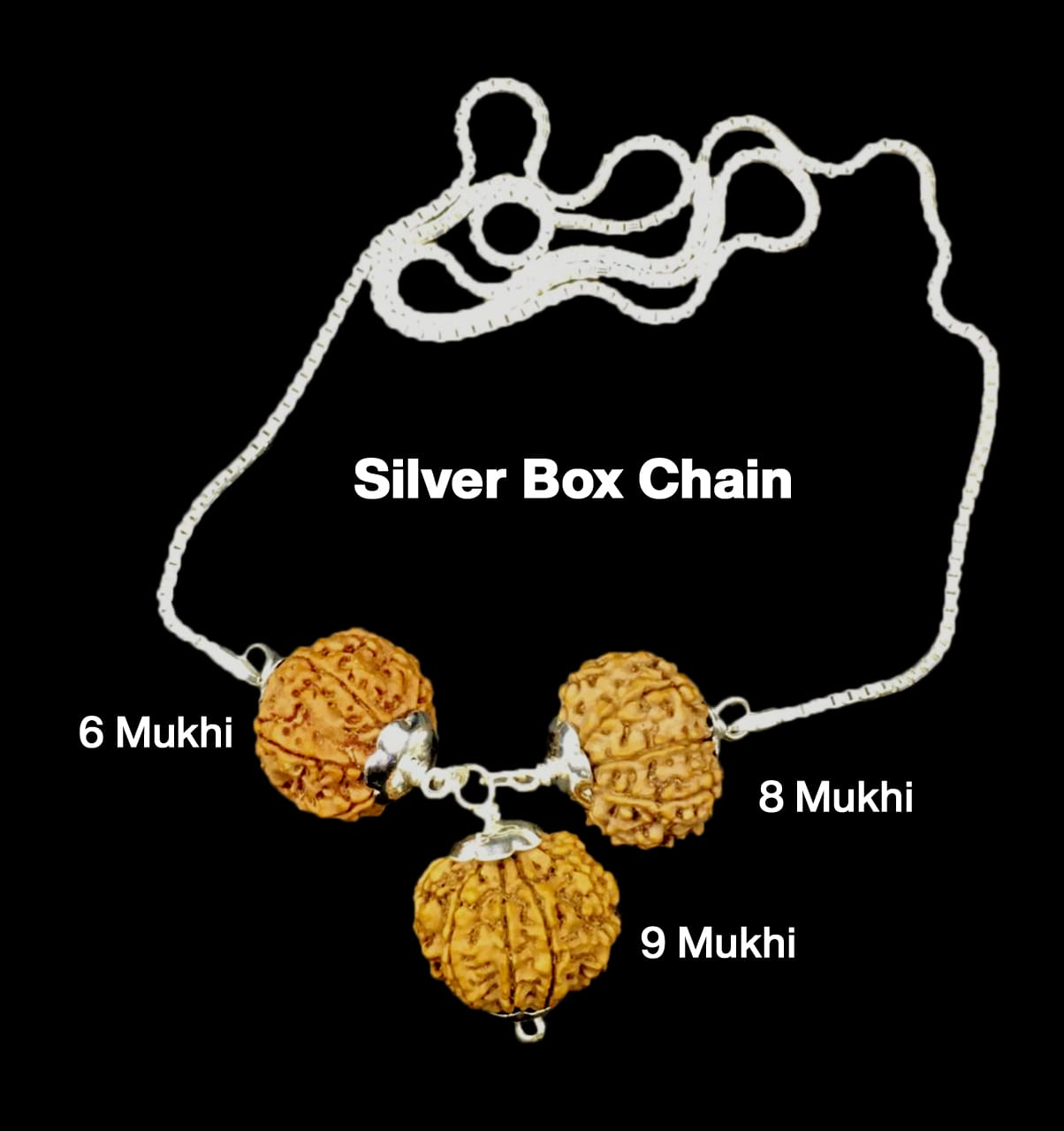 For Females in Business – 6, 8 & 9 Mukhi Rudraksha Combination (Nepal + Indonesian, Premium Thread Set)